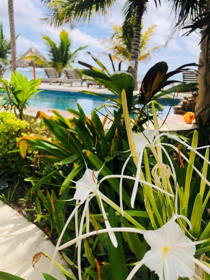 Coral Cove Inn Maya Beach 외부 사진